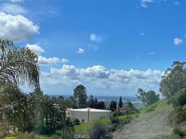 15841 Aurora Crest Dr, Whittier, CA 90605 - view of yard