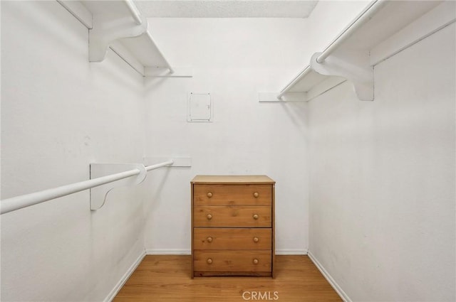 spacious closet featuring light wood-type flooring