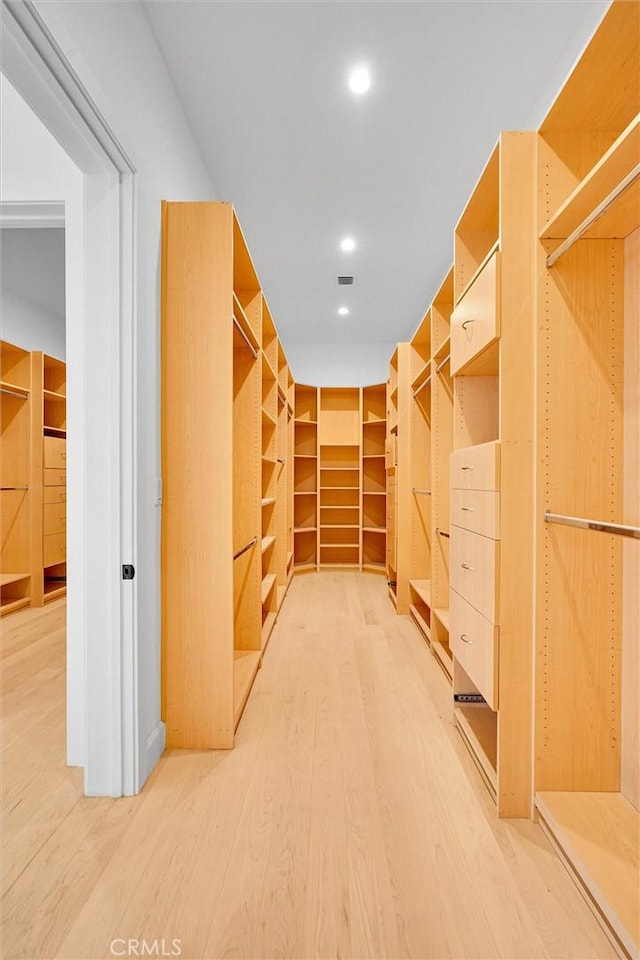 10050 Olivia Ter, Sun Valley, CA 91352 - spacious closet featuring light wood-style flooring