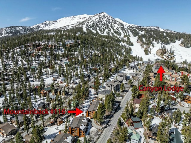 435 Lakeview Blvd Unit 116, Mammoth Lakes, CA 93546 - view of mountain backdrop featuring nearby suburban area