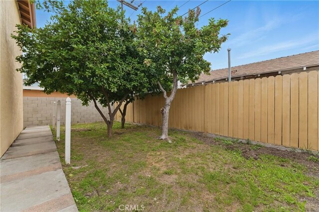 view of yard with a fenced backyard