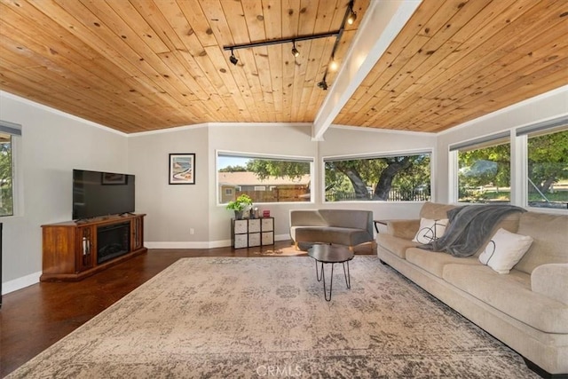 living room with a healthy amount of sunlight, wood ceiling, baseboards, and rail lighting