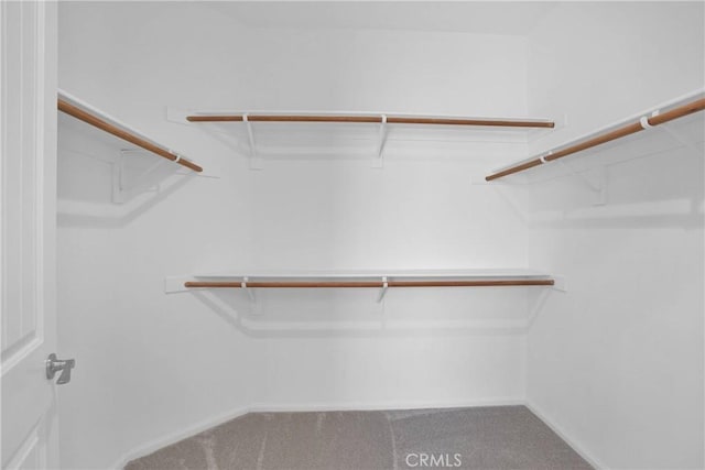 18870 Stetson St, Apple Valley, CA 92308 - walk in closet with carpet floors