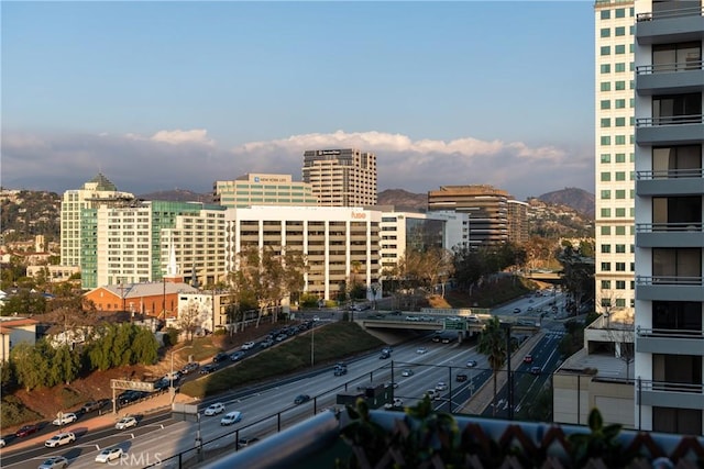 345 Pioneer Dr Unit 1705, Glendale, CA 91203 - view of city