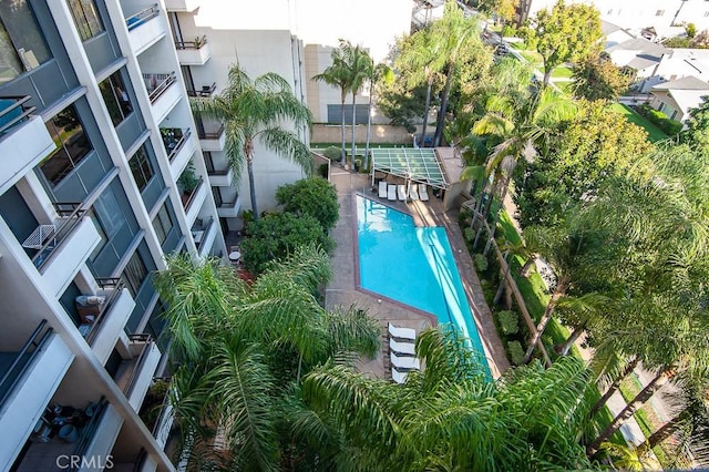 345 Pioneer Dr Unit 1705, Glendale, CA 91203 - view of community pool