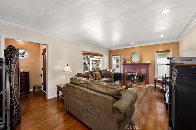living room featuring a fireplace, wood finished floors, crown molding, and baseboards