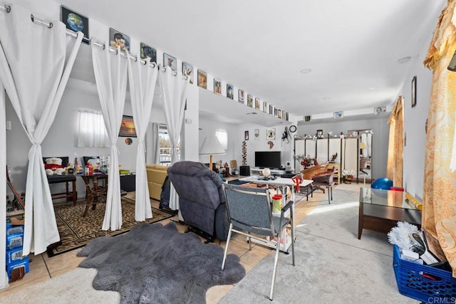 37650 Tripp Flats Rd, Anza, CA 92539 - living room featuring tile patterned flooring