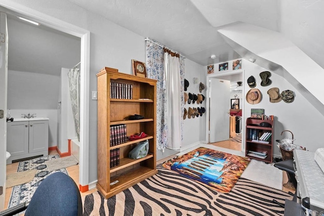 37650 Tripp Flats Rd, Anza, CA 92539 - additional living space featuring a sink