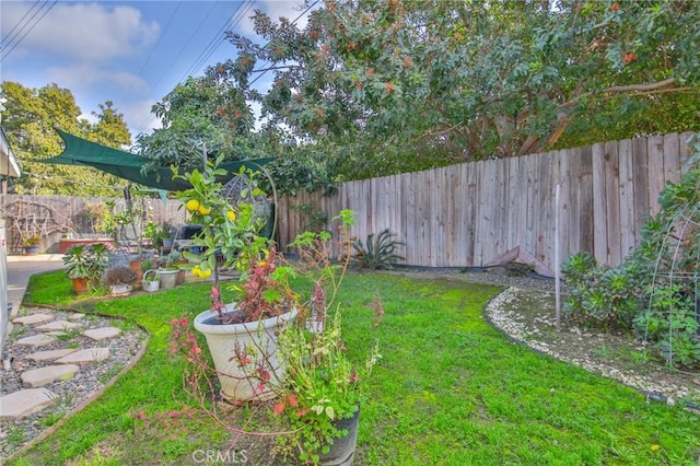 view of yard with a fenced backyard