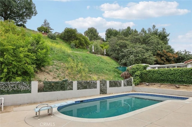 view of swimming pool with fence, a patio, and a fenced in pool