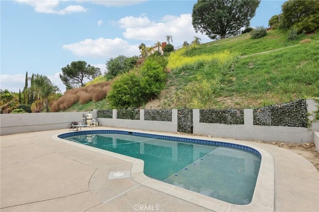 view of pool featuring a fenced backyard, a patio, and a fenced in pool