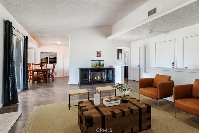 16117 Sweetaire Ave, Lancaster, CA 93535 - living area with lofted ceiling, a textured ceiling, wood finished floors, and a warm lit fireplace