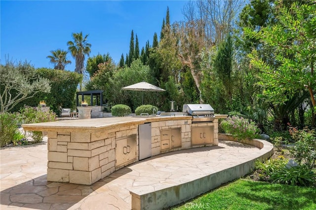 view of patio / terrace with an outdoor kitchen and area for grilling
