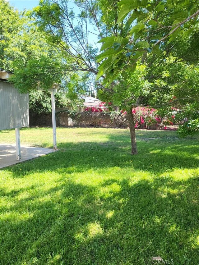4322 Temescal Ave, Norco, CA 92860 - view of yard