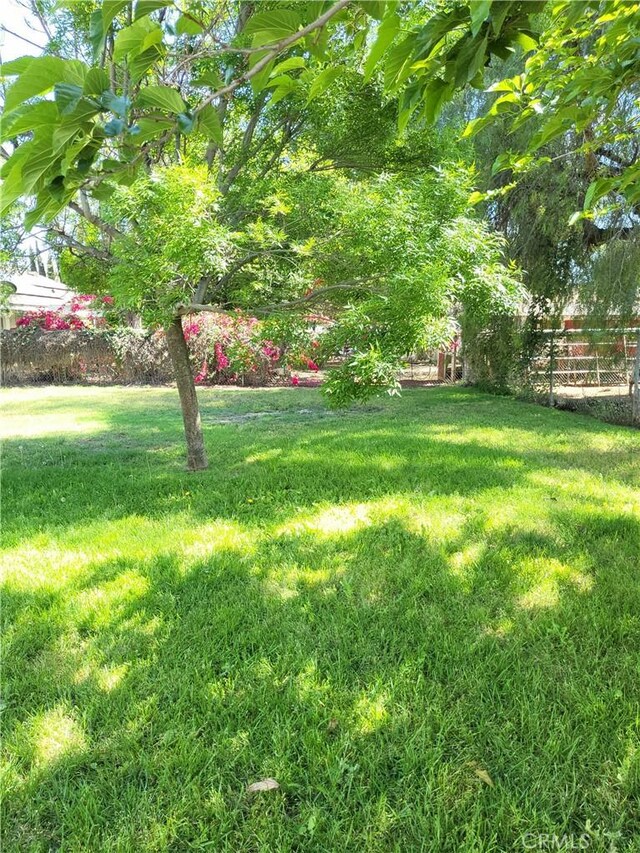 4322 Temescal Ave, Norco, CA 92860 - view of green lawn
