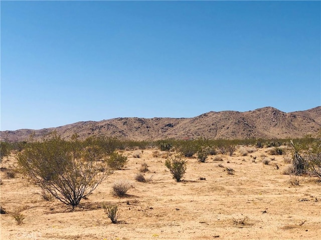 2 Geronimo Trl, Landers, CA 92285