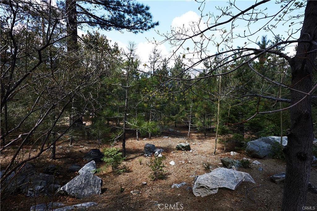 1700 Linden Dr, Pine Mountain Club, CA 93222