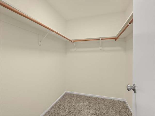 1523 E Pryor Dr, Fresno, CA 93720 - walk in closet featuring carpet flooring