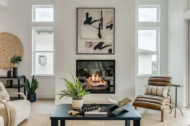 living area with a glass covered fireplace and wood finished floors