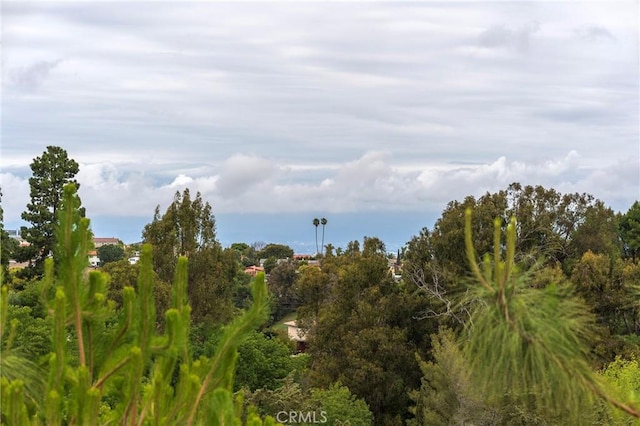 view of landscape