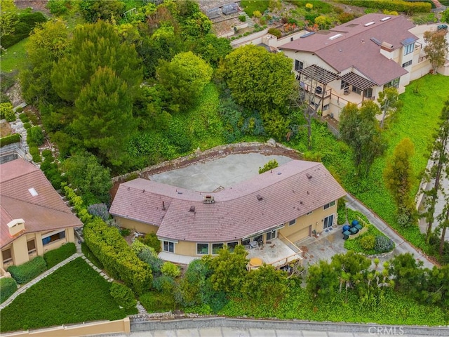drone / aerial view