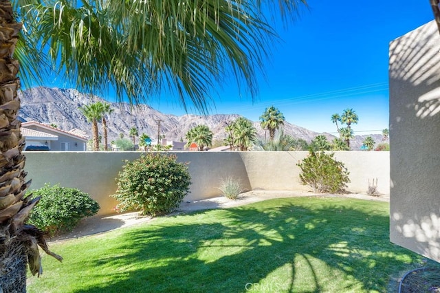 53520 Avenida Ramirez Ln, Quinta, CA 92253 - photo 34