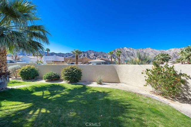 53520 Avenida Ramirez Ln, Quinta, CA 92253 - photo 35