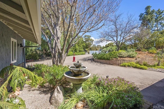 2406 Mcdougal Pl, Alpine, CA 91901 - view of yard