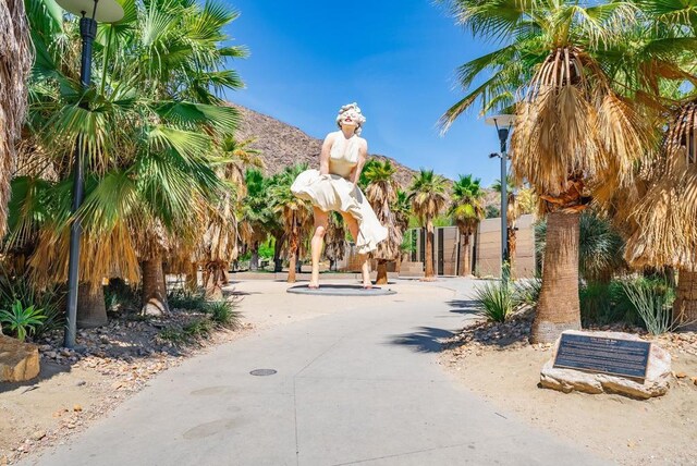 800 E Cottonwood Rd Unit 2, Palm Springs, CA 92262 - view of concrete road featuring street lighting