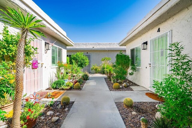 800 E Cottonwood Rd Unit 2, Palm Springs, CA 92262 - view of yard