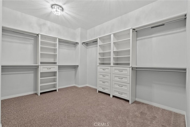 22514 Brightwood Pl, Saugus, CA 91350 - walk in closet featuring carpet flooring