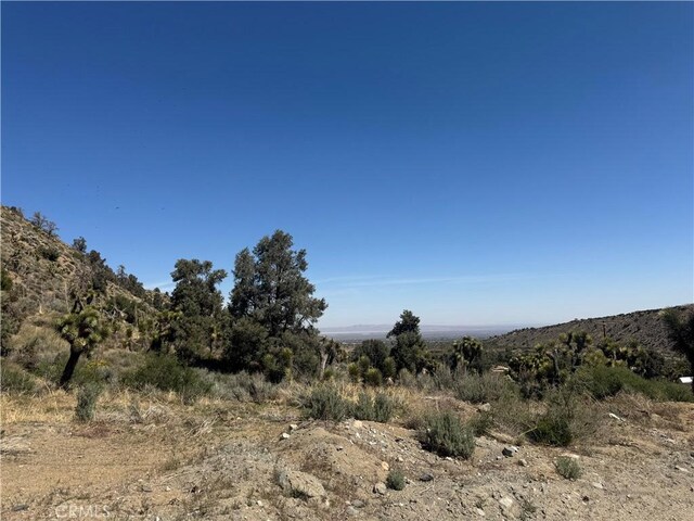 41112 Jack Rabbit Rd, Pinon Hills, CA 92372