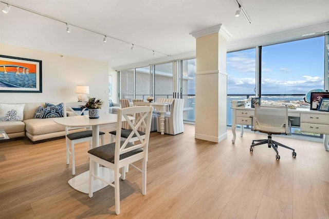 dining room with expansive windows, rail lighting, and light wood finished floors