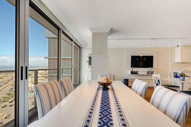 dining space featuring rail lighting and a water view