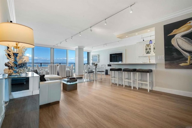 living area with a wall of windows, wood finished floors, rail lighting, and baseboards