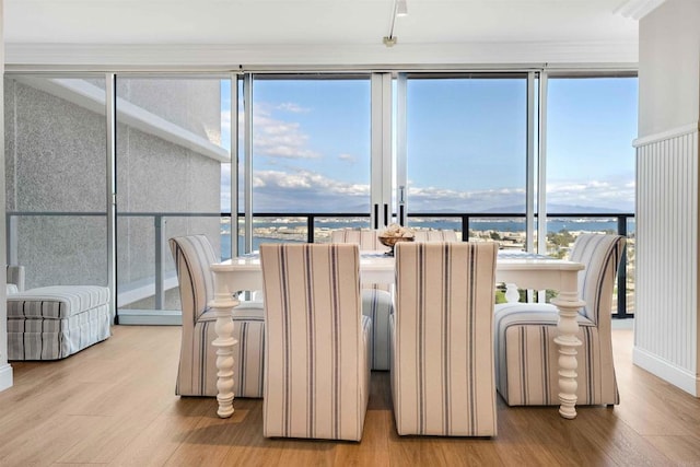 dining room featuring wood finished floors, a wealth of natural light, and a water view