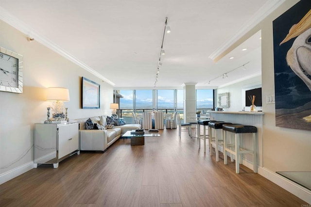 living room featuring track lighting, wood finished floors, expansive windows, and baseboards