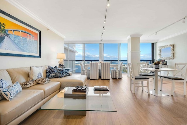living room with floor to ceiling windows, wood finished floors, rail lighting, and ornamental molding