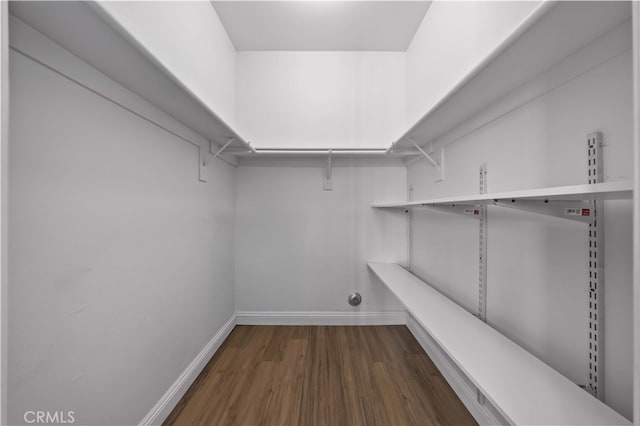 24288 Highcrest Dr, Diamond Bar, CA 91765 - walk in closet with dark wood-style flooring