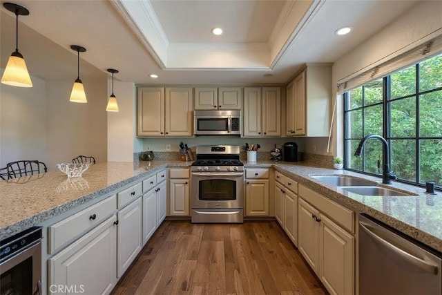 46375 Ryway Pl Unit 2, Palm Desert, CA 92260 - kitchen with appliances with stainless steel finishes, a raised ceiling, crown molding, dark wood-type flooring, and pendant lighting