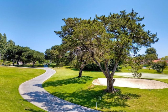 surrounding community featuring a yard
