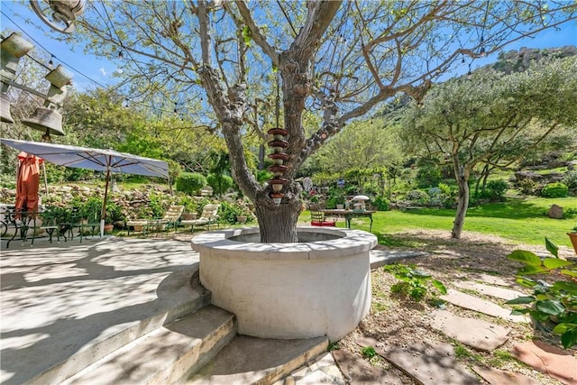 29012 Crags Dr, Agoura Hills, CA 91301 - photo 36