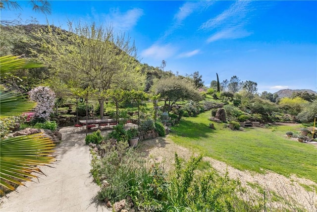 29012 Crags Dr, Agoura Hills, CA 91301 - photo 6