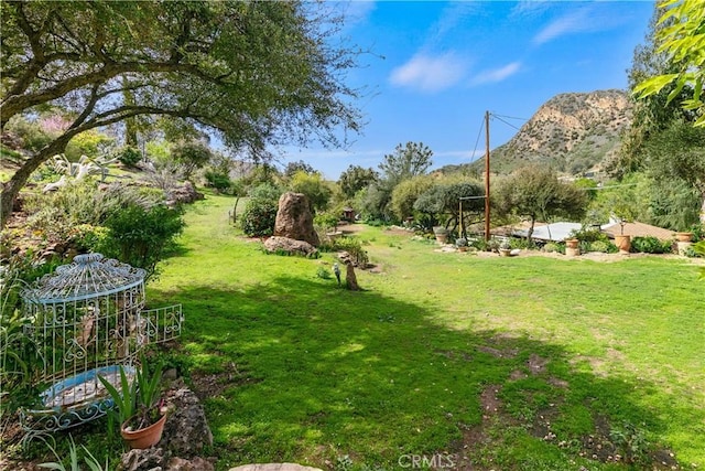 29012 Crags Dr, Agoura Hills, CA 91301 - photo 37