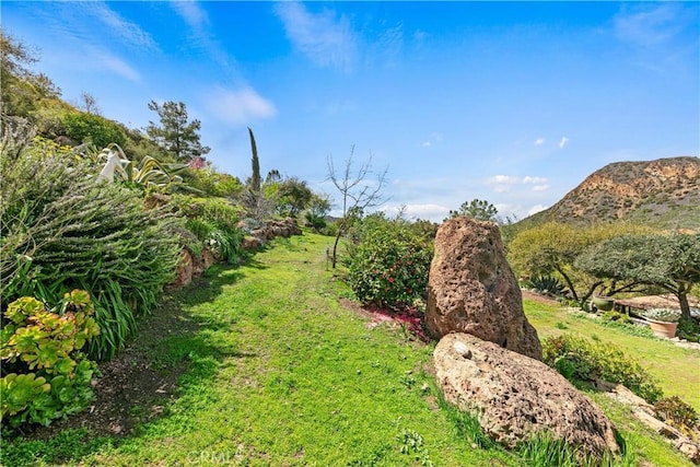 29012 Crags Dr, Agoura Hills, CA 91301 - photo 4