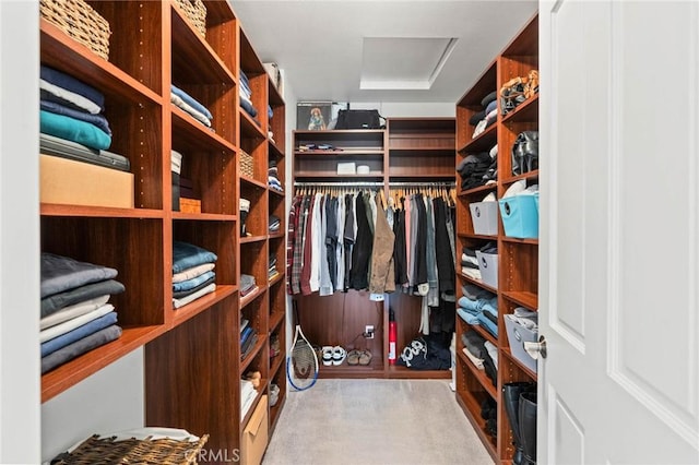 spacious closet featuring attic access and carpet flooring