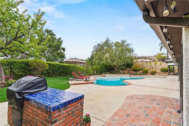 view of pool featuring grilling area, a fenced backyard, a fenced in pool, and a patio