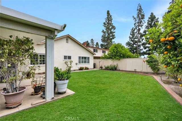 view of yard with a patio area and a fenced backyard