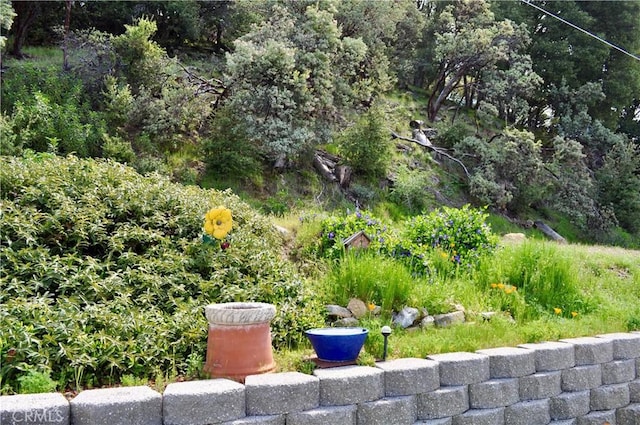 43178 Country Club Dr, Oakhurst, CA 93644 - photo 2