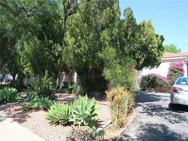 exterior space
